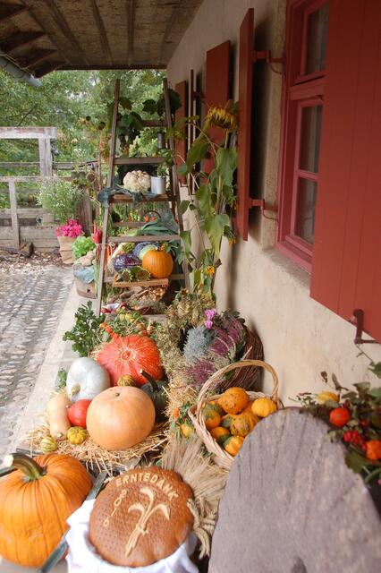 Ein grandioses Ensemble und „Hingucker“ mit Früchten aus Garten und Feldern wurde von Heidi Kommer an der Ostfassade der Mühle errichtet.