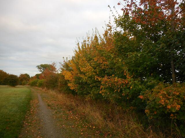 Auf dem Rückweg zum Parkplatz.