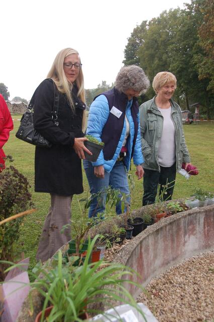 Blumen und Pflanzen konnten am Kollergang auf der Mühlenwiese getauscht werden.