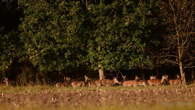 gleich sind Sie alle weg.