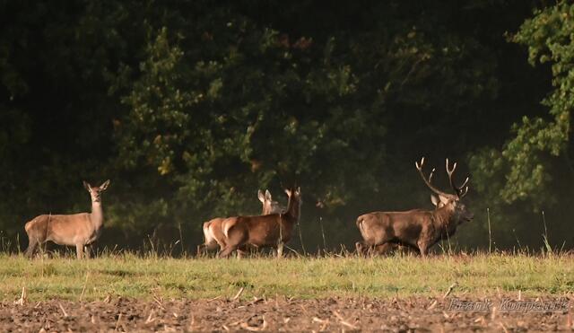 ...es ist ein Achtender !