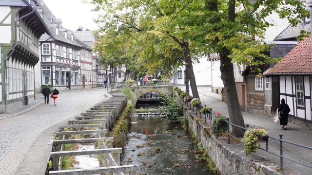 Die Gose, im Stadtbereich Abzucht genannt, versorgte die Stadt mit Wasser und trieb diverse Wassermühlen an. Schon vor 500 Jahren gab es ein Holzröhrenwassersystem für fast jedes Haus.
