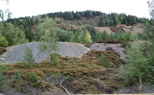 Die Abraumhalden stehen unter Naturschutz. Auf dem schwermetallhaltigen Boden wachsen ganz spezielle und sehr seltene Flechtenarten.