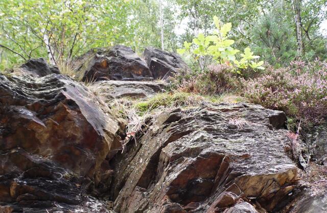 Das Gestein des Rammelsberges hatte früher viel zu bieten. Zinkblende, Kupferkies, Bleiglanz und Schwerspat wurden abgebaut. Das daraus gewonnene Silber machte Goslar zu einer reichen Stadt.