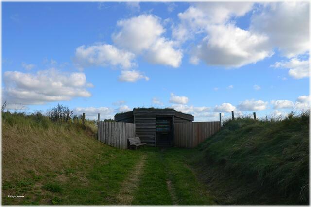 Beobachtungshütte des NABU im Katinger Watt (Foto: Katja Woidtke)