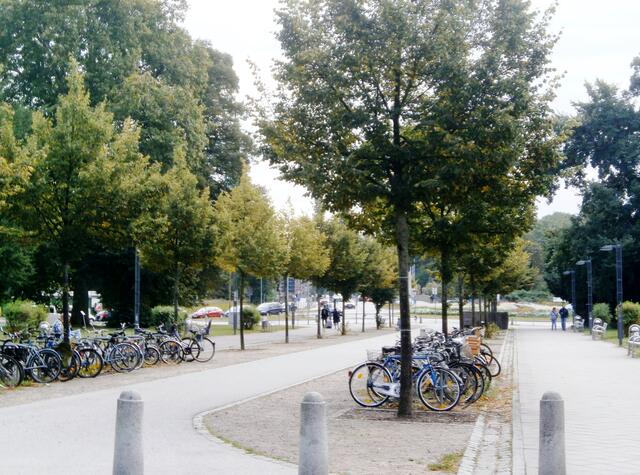 Wir kommen zum Lindenplatz, der sich auch im Stadtteil St. Lorenz befindet, wie unser Hotel. Er besteht aus einem Kreisverkehr, aus der Puppenbrücke welche in Richtung Holstentor und Altstadt, führt und aus einer Grünanlage.