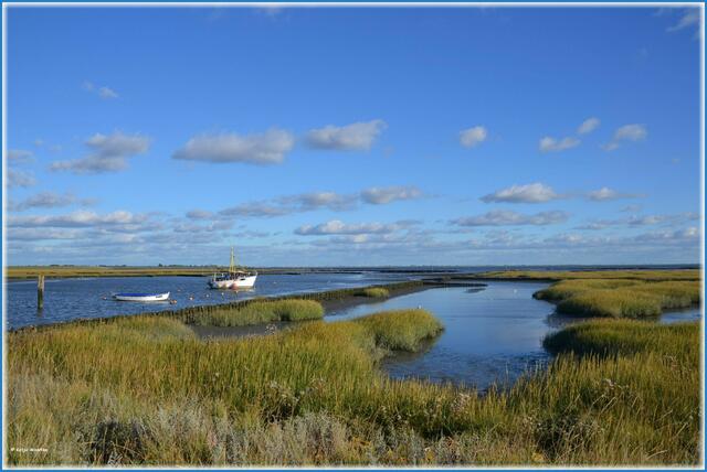 Bei Flut können auch in Ehstensiel prima Vögel beobachtet werden - nächstes Mal sind wir mit passender Fotoausrüstung dort (Foto: Katja Woidtke)