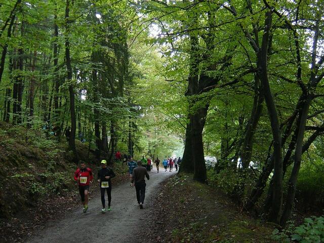 11-Kilometer-Läufer lockern schon mal die Muskeln.