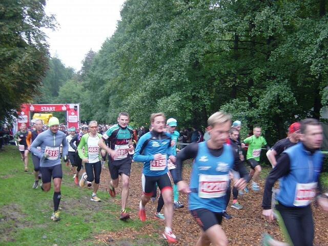 Teilnehmer am Brocken-Marathon 2016.