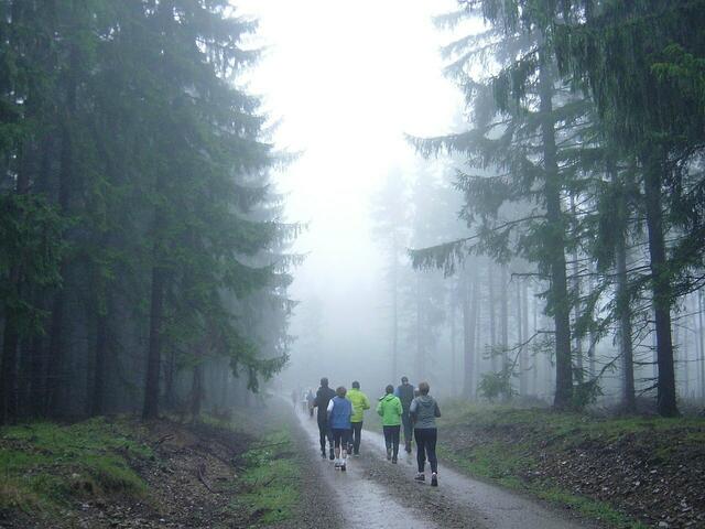 Berglauf im Nebel – mal was Anderes.