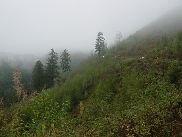 Athleten im Gelände.