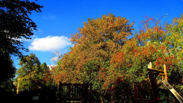 Herbstbilder aus Nebra - mit Farbverstärkungsfilter vom 15.Oktober 2016 !