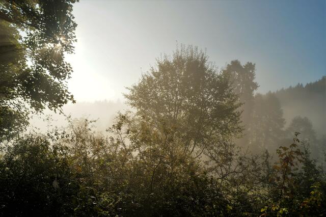 Ein Kampf zwischen Nebel und Sonne