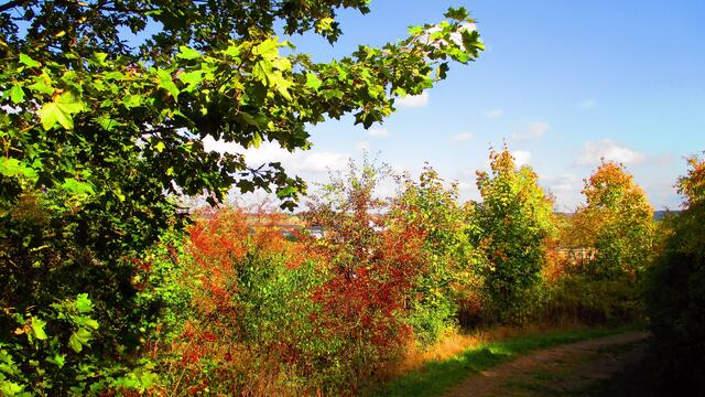 Herbstbilder aus Nebra - mit Farbverstärkungsfilter vom 15.Oktober 2016 !