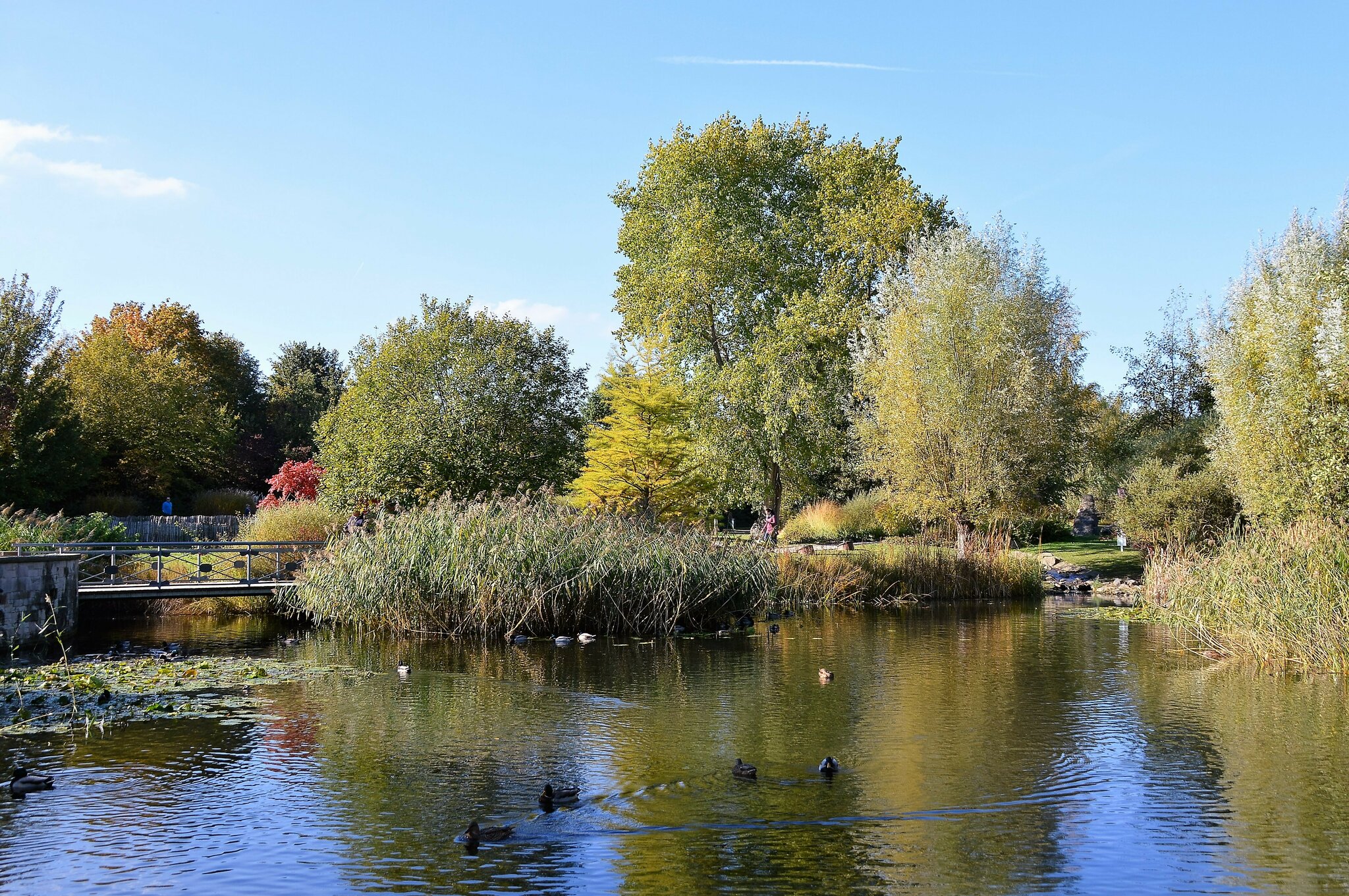 Heute hatten wir das perfekte Wetter für einen Besuch im "Park der