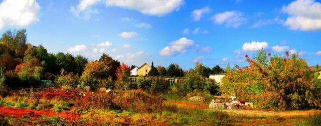 Panorama - Herbstbilder aus Nebra - mit Farbverstärkungsfilter vom 15.Oktober 2016 !