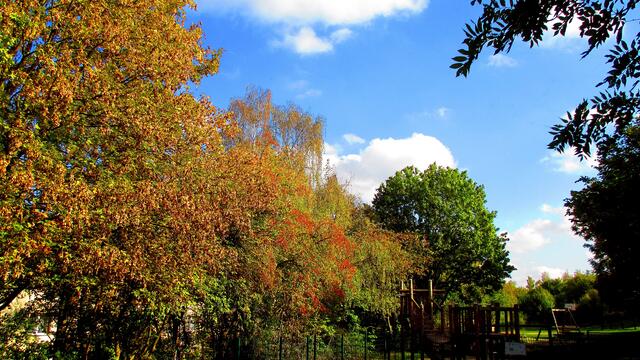 Herbstbilder aus Nebra - mit Farbverstärkungsfilter vom 15.Oktober 2016 !