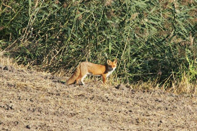 Wen man unterwegs so alles trifft...