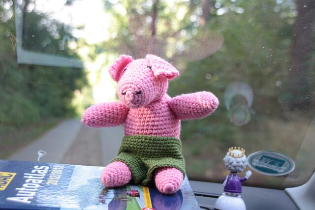 Im Auto, mit adeliger Begleitung!