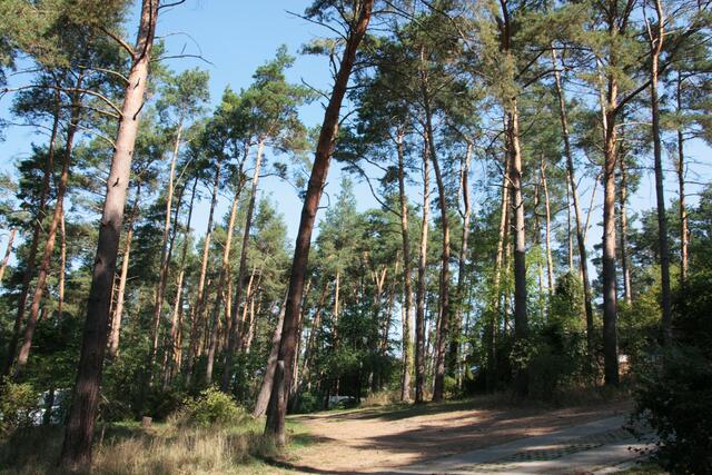 "Aussicht" von unserem Stellplatz auf dem Campingplatz am Oberucker See