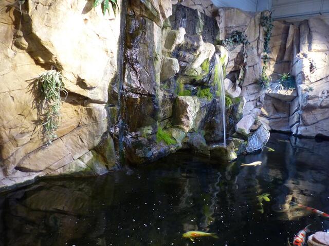 Koi Becken