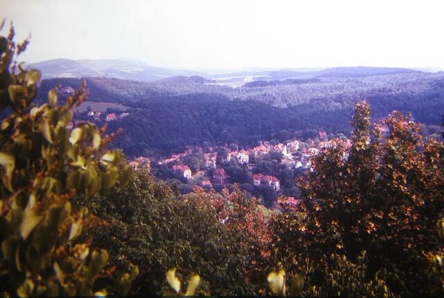 Teile von Eisenach   http://www.myheimat.de/bad-muender-am-deister/freizeit/blick-auf-eisenach-naja-eine-teil-eisenachs-m3577879,2705552.html