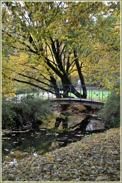 Kleine Fußgängerbrücke im herbstlichen Georgengarten Herrenhausen (Foto: Katja Woidtke)