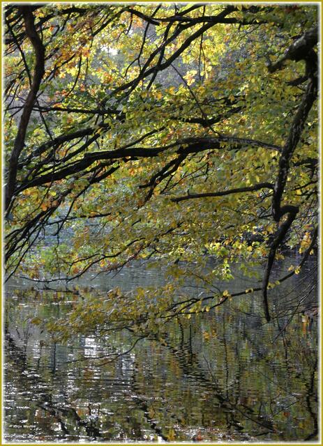 Spiegelungen des Herbstes (Foto: Katja Woidtke)