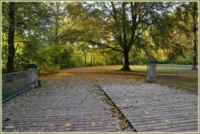 Zweispurige Fahrbrücke im Georgengarten Herrenhausen (Foto: Katja Woidtke)