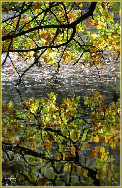 Spiegelungen im Herbst - Georgengarten Herrenhausen (Foto: Katja Woidtke)