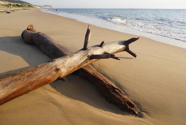 ...hat Nordseeinseln.
