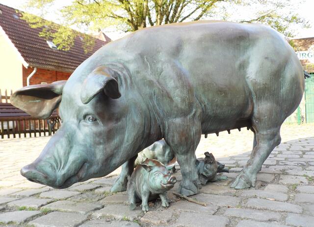 ...hat mehr Schweine als Einwohner.