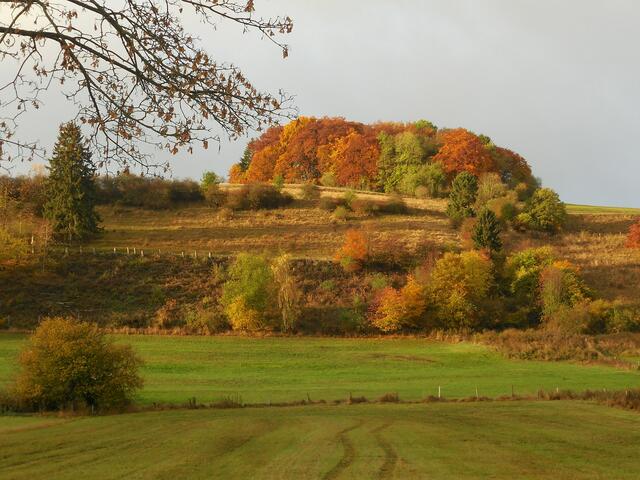 Kurz vor Lengefeld (Korbacher Ortsteil).