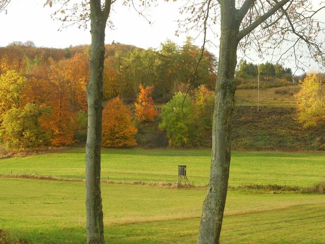Zwischen Nordenbeck und Lengefeld (beides Korbacher Ortsteile).