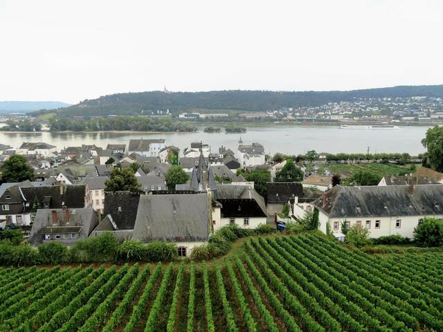Ein schöner Ausblick auf den Rhein.