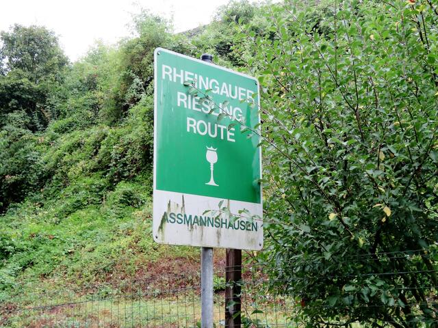Hier ist die Riesling Route.