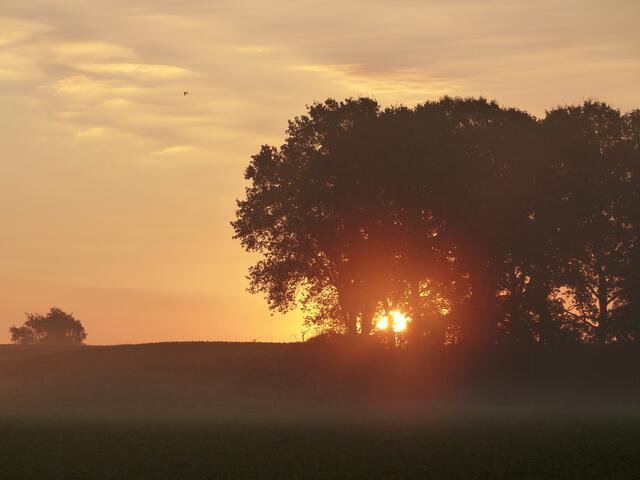 Dieser Anblick verzaubert mich immmer wieder aufs Neue. Ein Sonnenaufgang über dem Hügel nahe der Bockwindmühle in Wettmar.