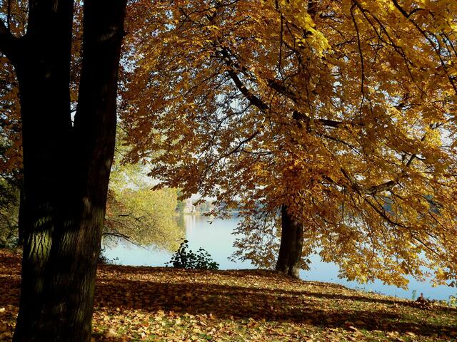 Oktober 3 | Foto: Elfie Haupt