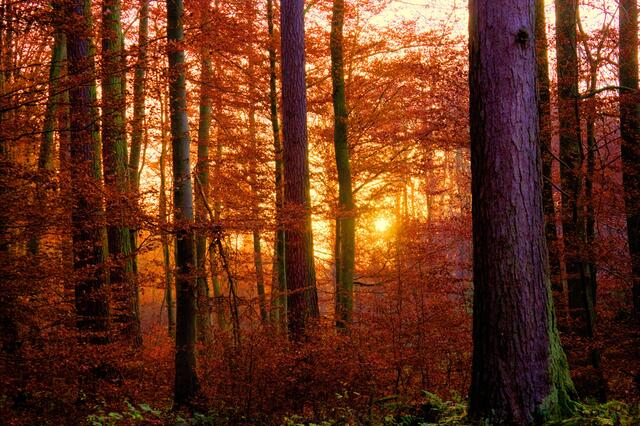 Oktober 1 | Foto: Bernd & Lucas Hons