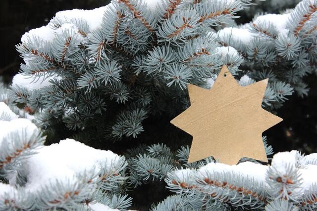 Dezember 2 | Foto: Thorben Schott