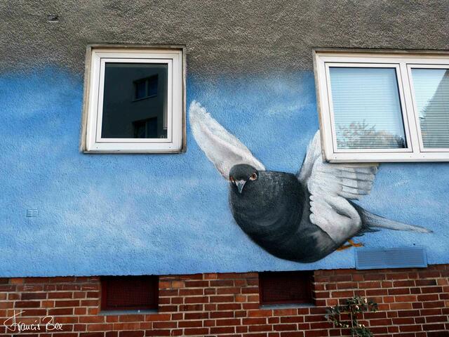 Die etwas andere Hausnummer