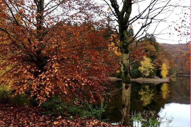 Herbststimmung am Weltkulturerbe Wiesenbeker Teich - kostenloses Parken ist am Parkplatz des ehemaligen Hotels möglich - Anfahrt über die Teichstraße.