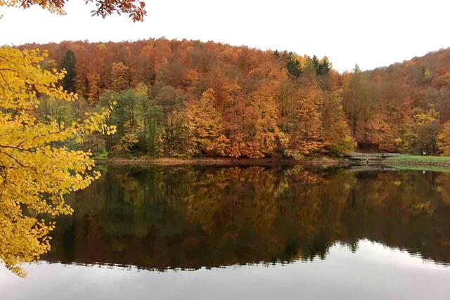 Herbststimmung am Weltkulturerbe Wiesenbeker Teich - kostenloses Parken ist am Parkplatz des ehemaligen Hotels möglich - Anfahrt über die Teichstraße.