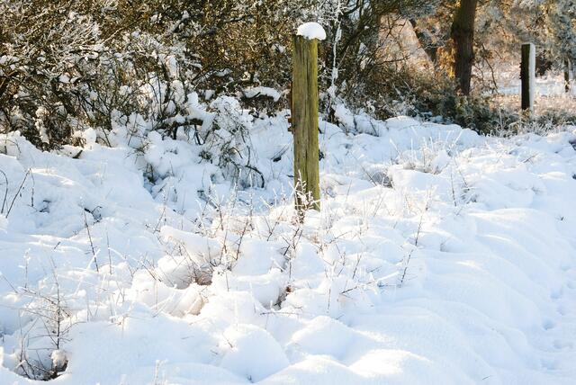 Am Boden habe ich 20 Zentimeter Schneehöhe gemessen  wovon allerdings schon wieder ein Teil getaut ist weil die Temperaturen am Tag über dem Gefrierpunkt lagen.