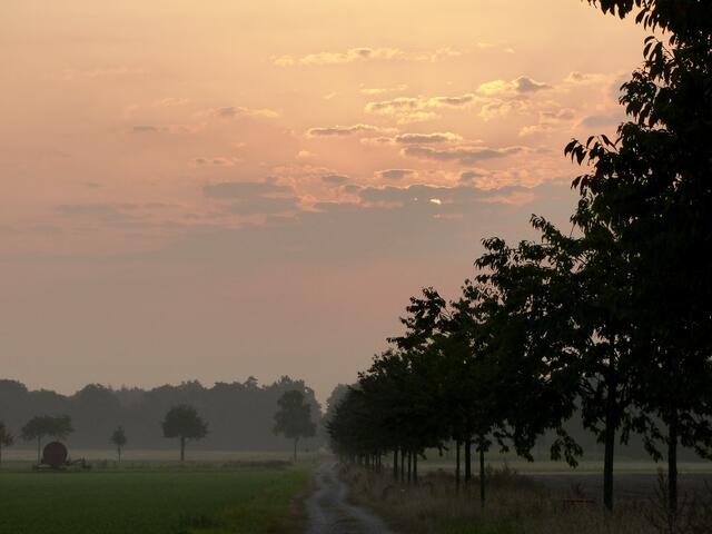 Wir nähern uns dem Rhaden, einem keinen Waldgebiet, gelegen zwischen Groß- und Kleinburgwedel, Wettmar und Thönse.