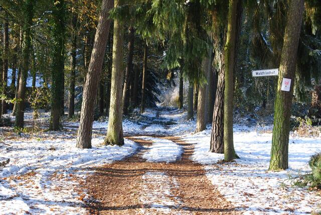 Für die nächsten Tage sind dann wieder Plusgrade gemeldet, will hoffen dass der Schaden im Wald sich in Grenzen hält.