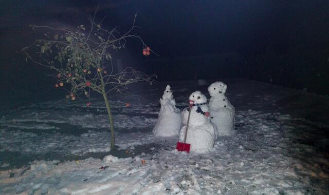 Plötzlich war es Winter! Am 9. November 2016 in den frühen Morgenstunden. Drei fleißige "Männer" im Schnee...bei der Arbeit entdeckt. Die Apfelernte war noch nicht vollständig vollbracht.