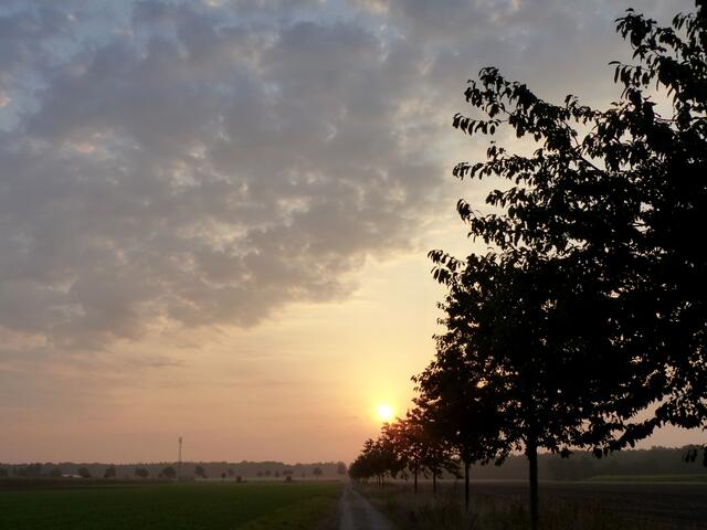 Morgenspaziergang... der Sonne entgegen.
