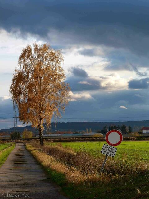 Zwischen Regen und Sonne