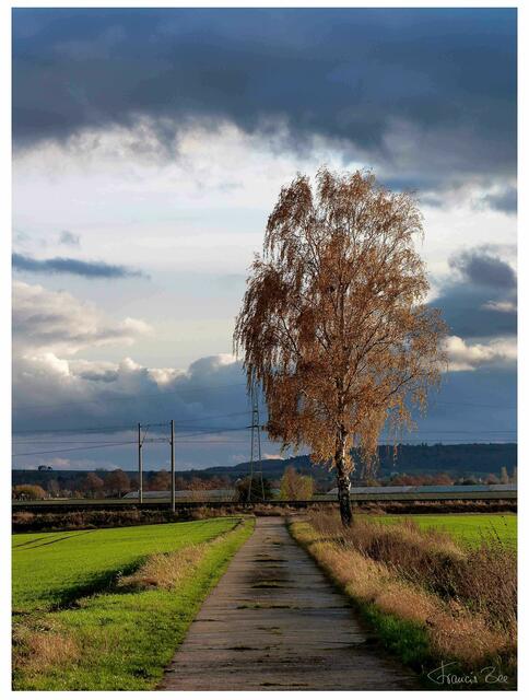Zwischen Regen und Sonne